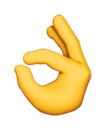 Feature Icon